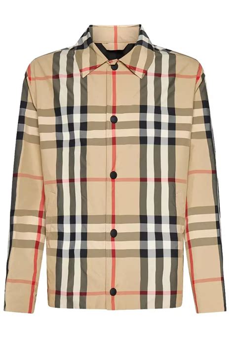 pakaian burberry.